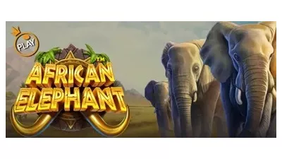 아프리칸 엘리펀트