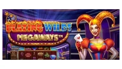 블레이징 와일드 메가웨이