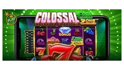 컬라설 캐시 존