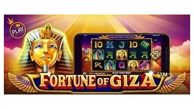 포춘 오브 기자