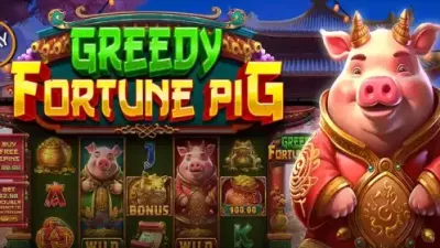 그리디 포춘 피그