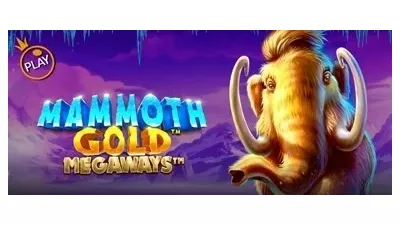 맘모스 골드 메가웨이즈