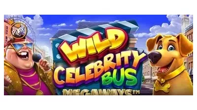 와일드 셀러브리티 버스 메가웨이즈