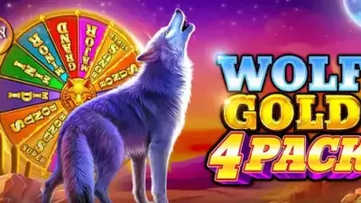 울프 골드 4 팩